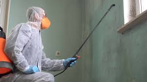 Why You Should Choose Our Mold Remediation Services in Nashua, NH